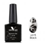 BLOSSOM_678