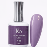 rio-new-R66