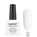 לק-ג_ל-canni-023