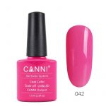 לק-ג_ל-canni-042