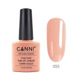 לק-ג_ל-canni-055
