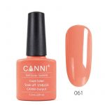 לק-ג_ל-canni-061