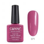 לק-ג_ל-canni-071
