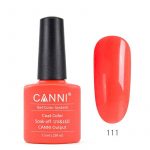 לק-ג_ל-canni-111