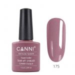 לק-ג_ל-canni-175