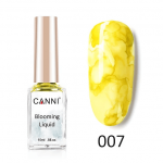 צבע מים canni 007